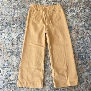 NWT PILCRO PANTS FROM ANTHROPOLOGIE // SIZE 31